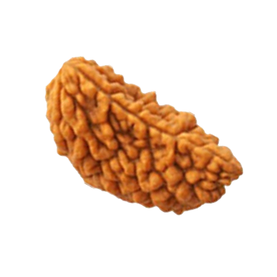 rudraksha 1 Mukhi Rudraksha